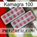 Kamagra 100 19